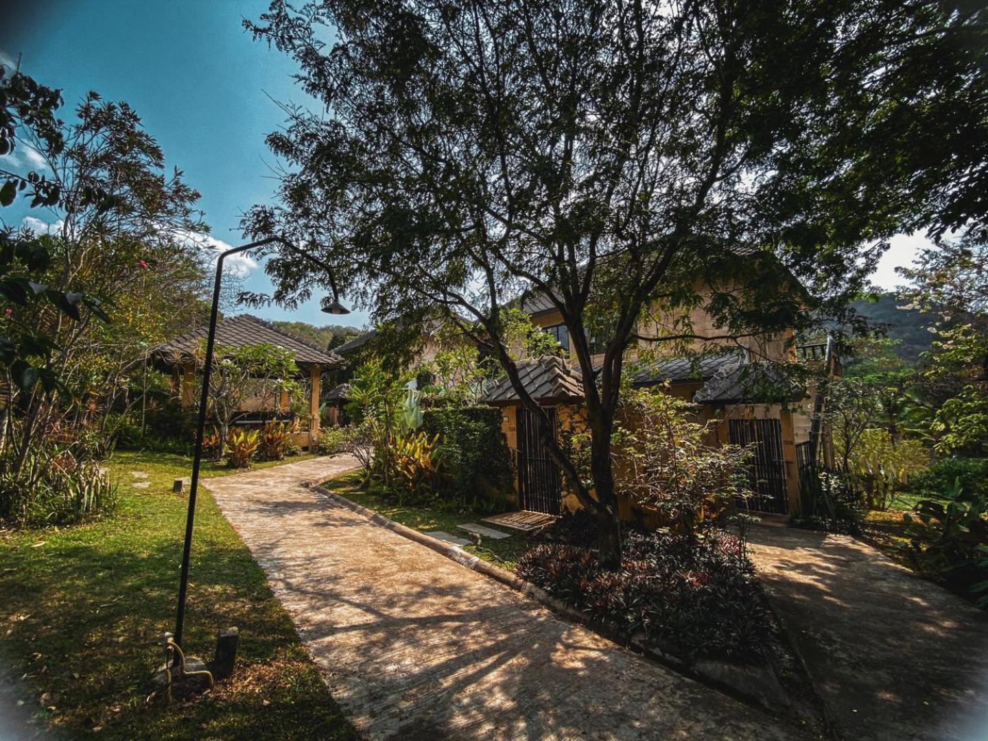 Villa Khao Phaengma Wang Nam Khiao Ngoại thất bức ảnh